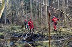 Łoś utkwił w bagnie po uszy! Z pomocą ruszyli strażacy