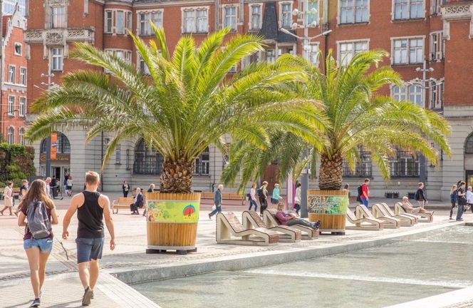 Najdziwniejszy rynek w województwie śląskim. "To nie plac, to archipelag wysp"
