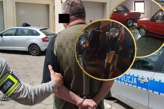 Oszukali ponad stu rolników na miliony złotych! Odbierali zwierzęta, nigdy za nie zapłacili