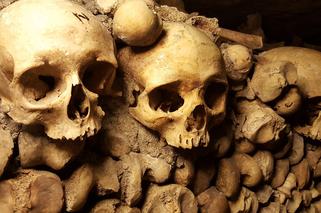 Sensacyjne i przerażające odkrycie przy budowie S19 w Jeżowem. Znaleziono groby dzieci [ZDJĘCIA]