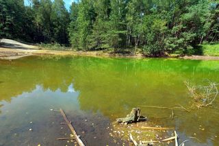 Kolorowe Jeziorka w Bibieli: Skarb znajdziemy w zatopionym lesie na Śląsku