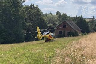 Bruśnik. Ciągnik przewrócił się w lesie. Dwie kobiety odniosły obrażenia