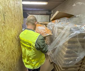 Nielegalna fabryka papierosów zlikwidowana! Milion papierosów w kartonach po pizzy