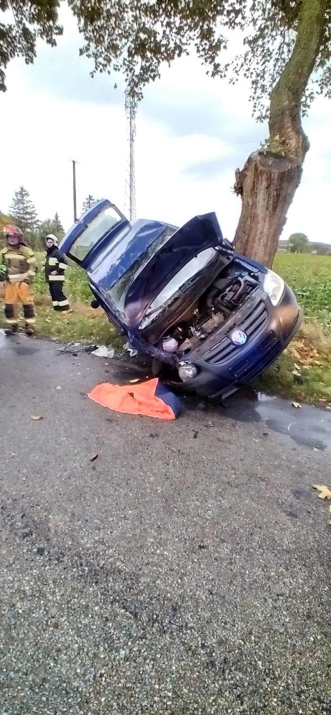 Lubieszewo: Wypadek osobówki. Kierowca trafił do szpitala [ZDJĘCIA]