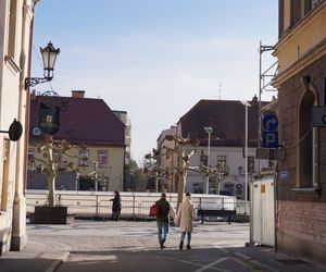 Pszczyna to jedno z najbardziej urokliwych miasteczek na Śląsku