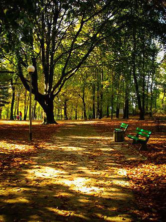 Park Piastowski