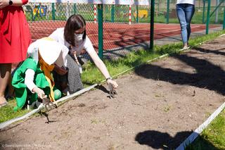 Białystok. Łąki kwietnie przy szkołach i przedszkolach. Miasto rusza z nowym programem