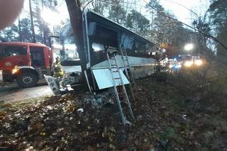 Szkolny autobus uderzył w drzewo