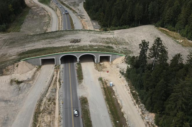 Obwodnica Wąchocka (wrzesień 2025)