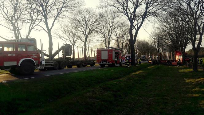 Tir roztrzaskał się na drzewie! Niebezpieczny wypadek pod Cybinką!