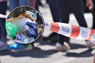 Wstrząsające odkrycie w śmietniku. Mieszkańcy są oburzeni. Straszne nieludzkie