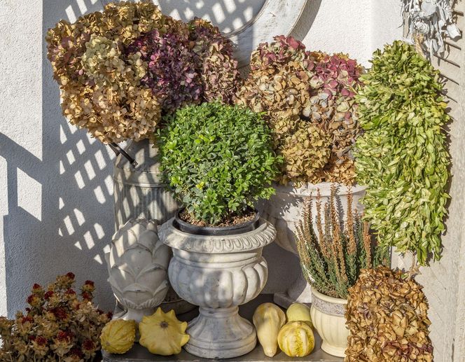 Jesienne dekoracje balkonu i tarasu