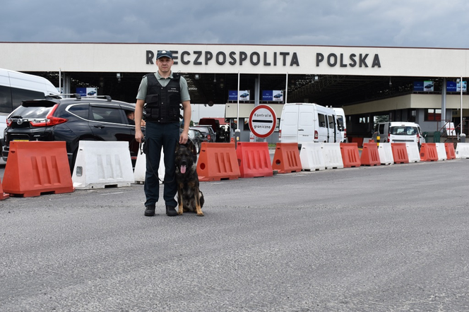 Kenzo zasilił szeregi podkarpackiej KAS. Potrafi wykrywać zagrożone gatunki