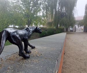 Zamojski Park jesienią