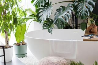 Łazienka jak zielony raj – prywatne SPA