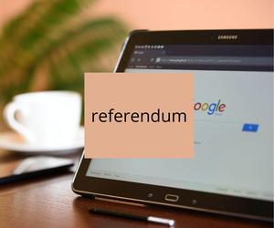 8. referendum