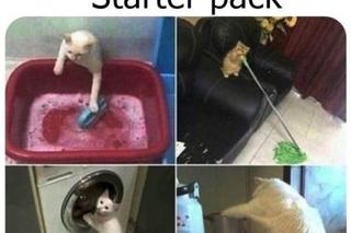 Najlepsze memy o świętach. Te obrazki rozbawią Cię do łez! Tak wygląda Boże Narodzenie oczami internautów [TOP 75]