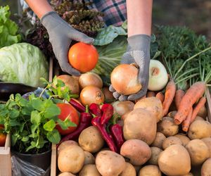 Dietetyczka ostrzega. Oto 2 warzywa, które mogą okazać się trujące