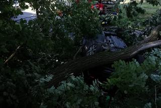 Dolny Śląsk: Samochód wypadł z drogi i dachował