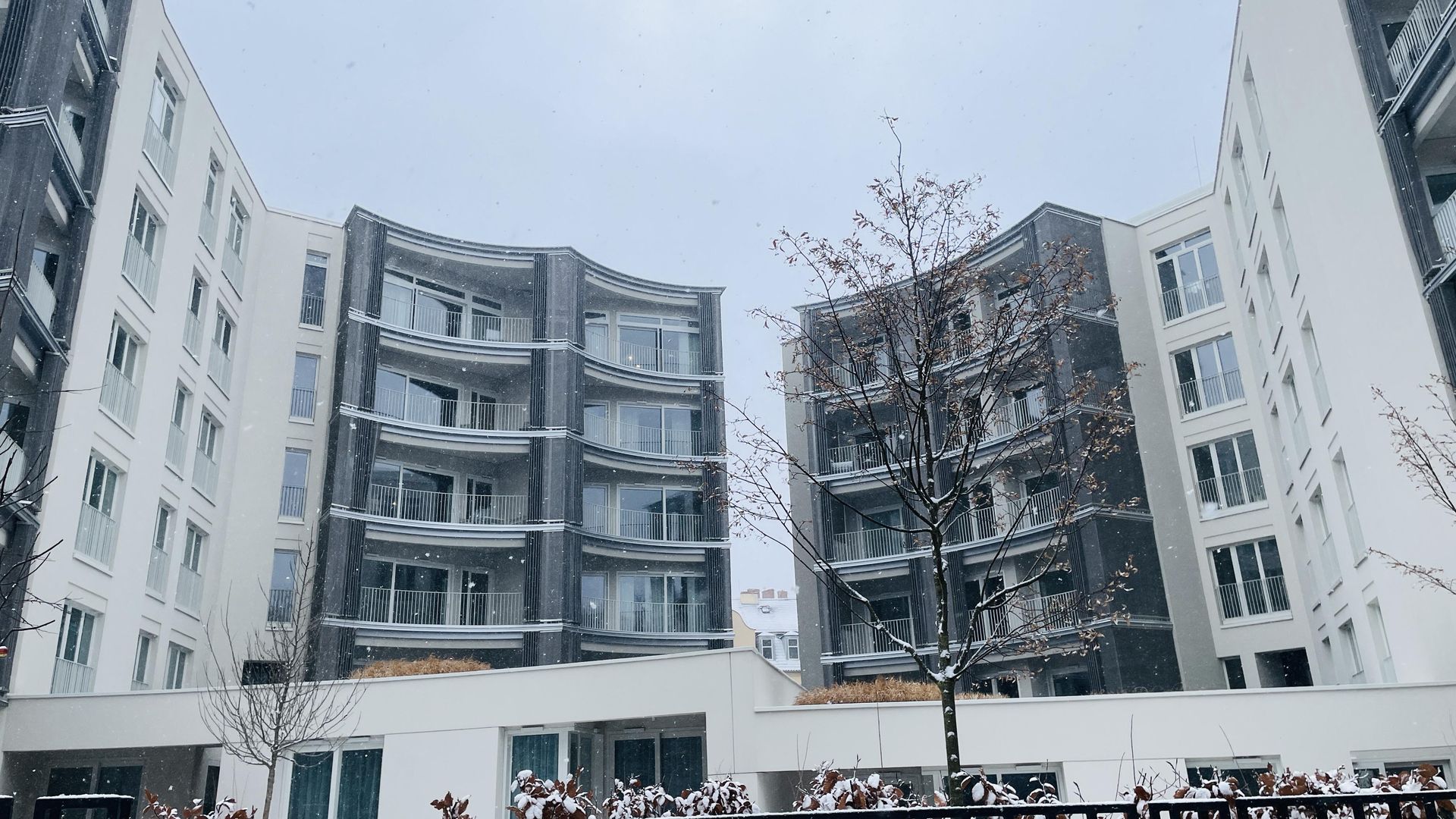 Permumiarnia w Poznaniu