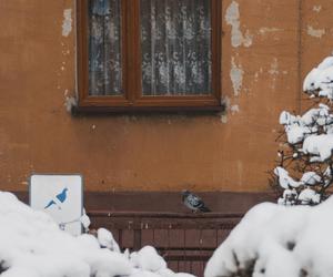 Na tym osiedlu w Sosnowcu czas się zatrzymał. Zobacz zdjęcia wyjątkowych bloków z wielkiej płyty