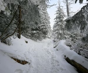 Trzeci stopień zagrożenia lawinowego. TOPR apeluje