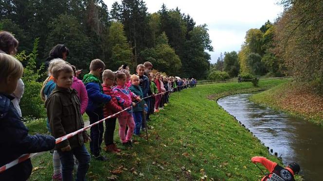 II Rajd Żółtej Kaczuszki po Wogrze. Rzeką popłynęło prawie 1200 gumowych kaczek [FOTO]