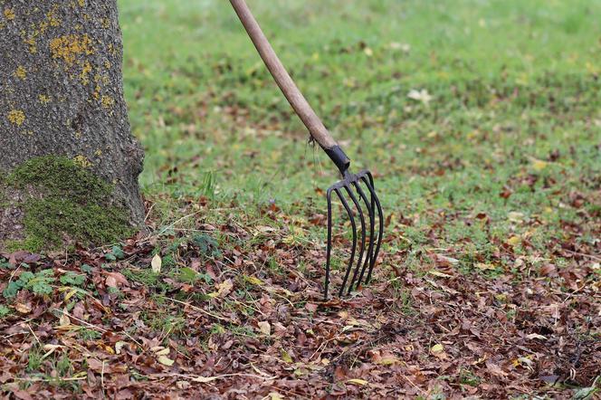 Z WIDŁAMI na sąsiadkę, kobieta trafiła do szpitala! Agresywny 53-latek zaatakował także listonosza i urzędników 