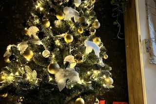 Żywe i sztuczne. Nasi Czytelnicy pochwalili się swoimi choinkami. Zobacz zdjęcia!