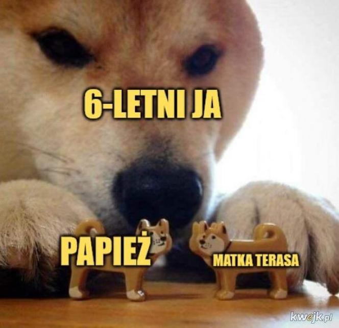 Kabosu