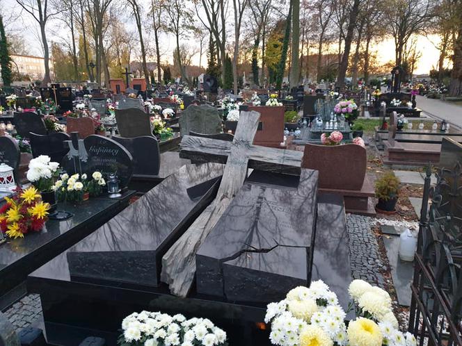 Znowu będą kwestować! Rusza akcja Ratujmy Płockie Powązki!