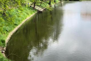 Pani Nina ratowała mężczyznę, który wpadł do fosy. Gapie wyciągnęli telefony i nagrywali 