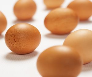 Przechowywanie jajek: jak prawidłowo przechowywać jajka?