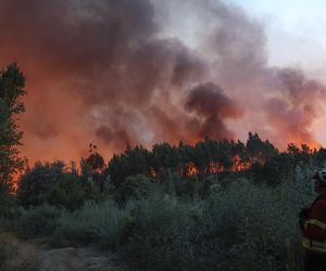 Groza w Portugalii! Tornado ognia i trąba z pyłów