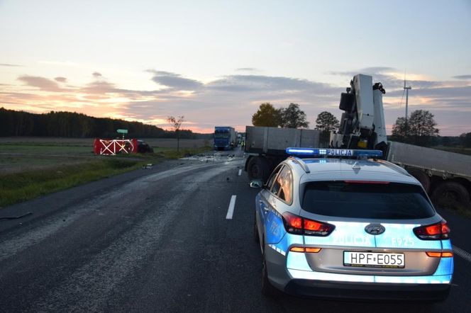 Zabił żonę, a następnie sam wjechał pod ciężarówkę?