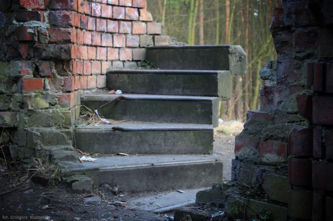 Ruiny wieży Quistorpa w Szczecinie