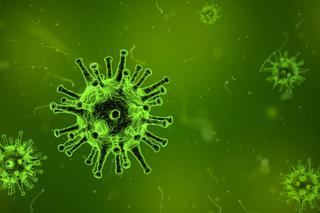 Lubelskie: Ogromny wzrost liczby zachorowań na grypę. Ponad 28 tys. od początku roku [WIDEO]