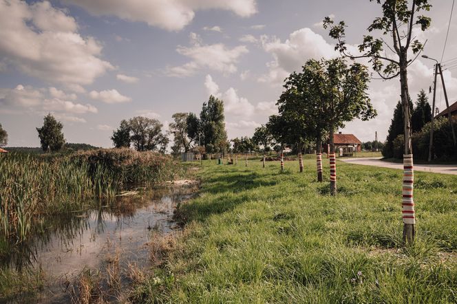 To najpiękniejsza wieś w woj. warmińsko-mazurskim. Zwyciężyła w ważnym konkursie