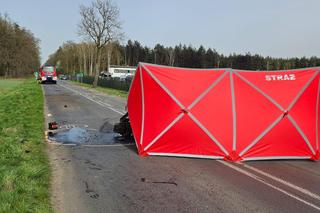 Tragedia w Wielkanoc. Między Gostyniem a Poniecem kobieta wjechała samochodem w drzewo [ZDJĘCIA]