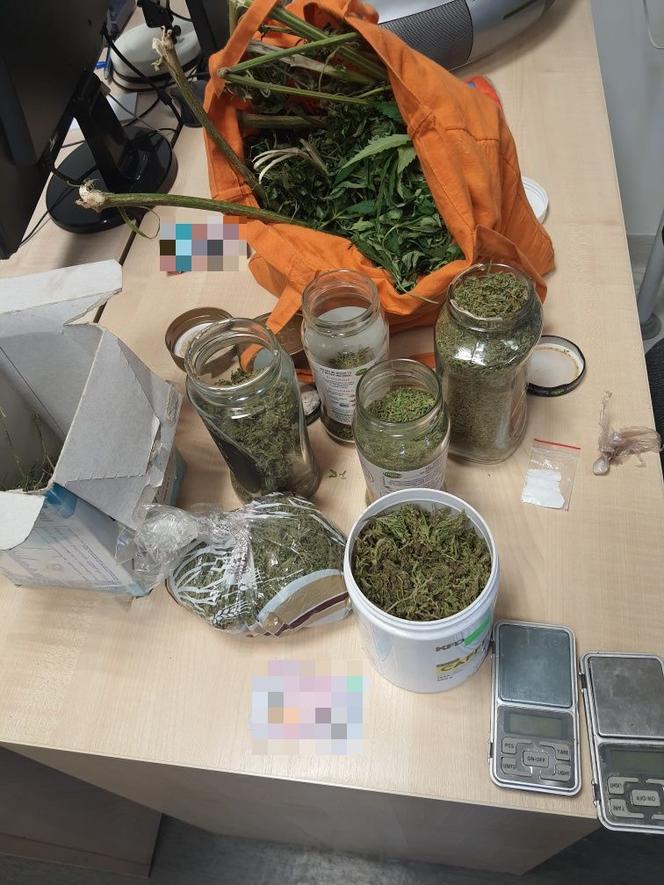 Kryminalni z Ciechocinka przejęli ponad 2 kilogramy marihuany. Oto co znaleźli