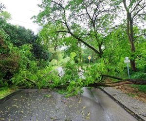 Burze nad Polską! Setki interwencji straży, jedna osoba ranna [ZDJĘCIA]