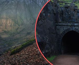 Tajemniczy tunel i trzy wagony. Nadleśniczy ujawnia