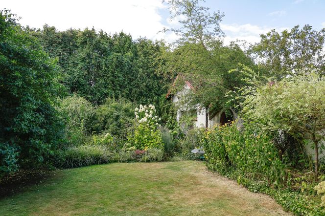 Ewa Telega pokazała ukochane miejsce. Aktorka uwielbia swój ogród