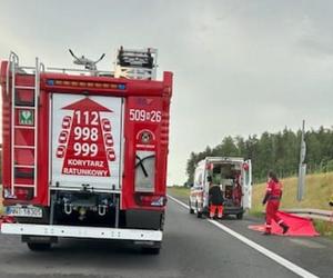 Śmiertelny wypadek na S7! Dwóch mężczyzn nie żyje. Bus huknął w bariery i wpadł do rowu [ZDJĘCIA]