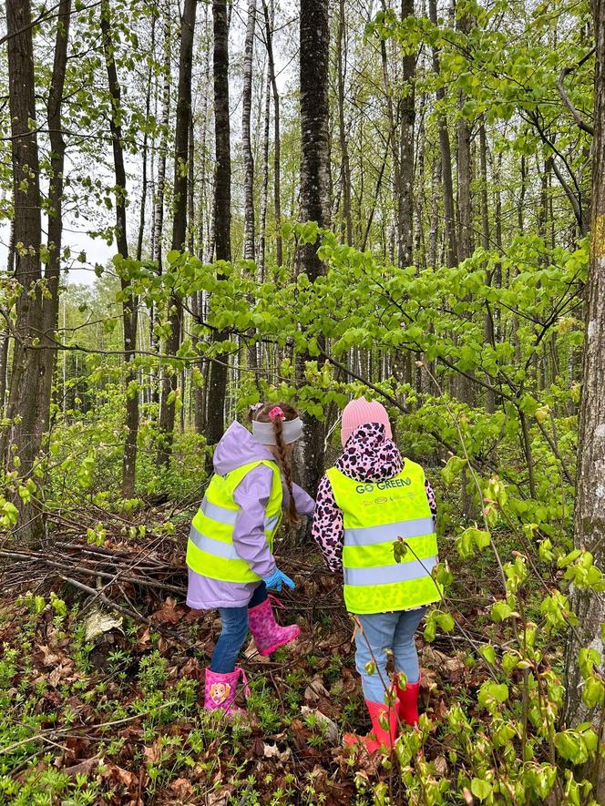 Dzieci posprzątały las i miały lekcję ekologii w terenie. Pomogła firma z Iławy