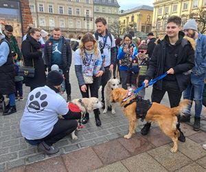 Wolontariusze na ulicach polskich miast