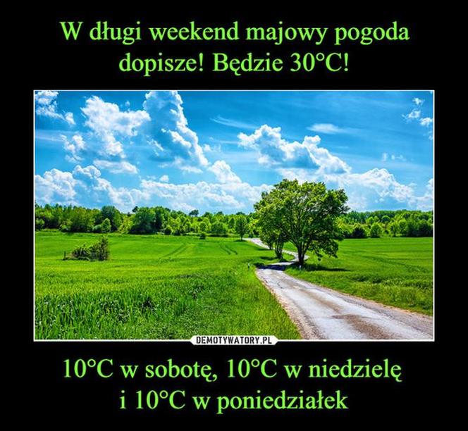 majówka 2021 - memy