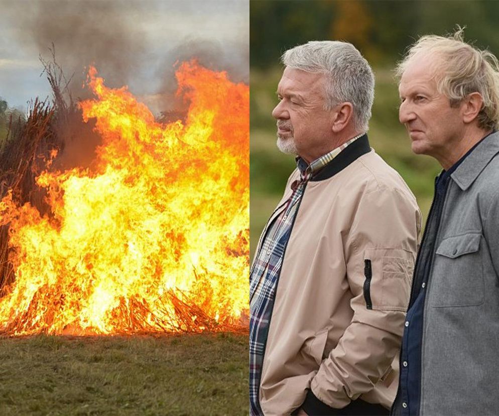 Pierwsza miłość, odcinek 3929: Śmiałek (Paweł Okoński) i Seweryn (Mirosław Kropielnicki)