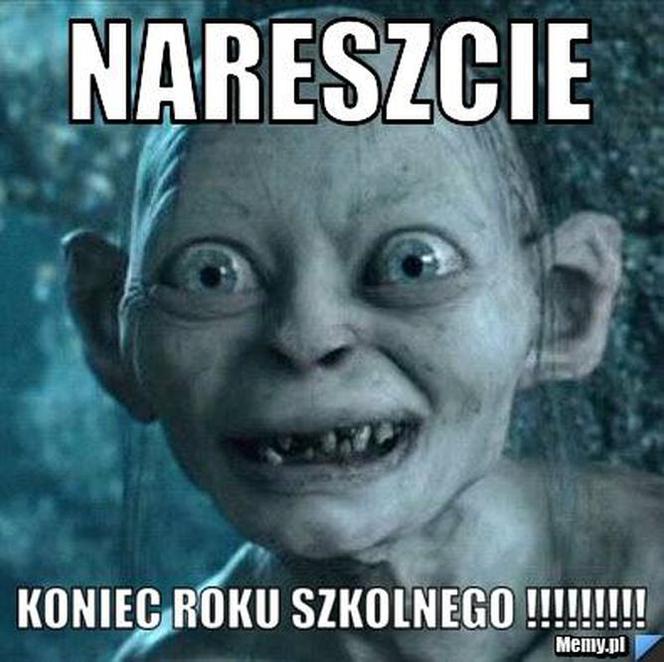Najlepsze memy z okazji zakończenia roku szkolnego! 