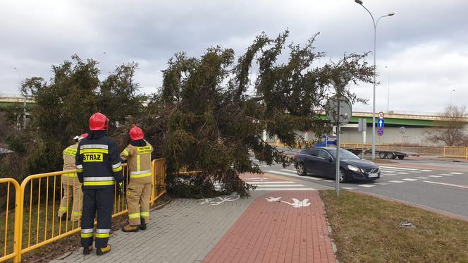 Orkan Eunice narobił szkód w Świętokrzyskiem